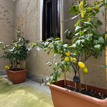 La Corte Lägenhet